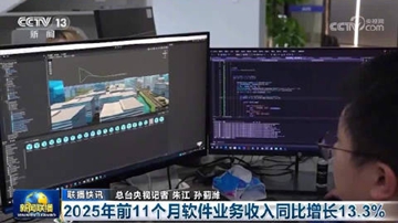 2025年前11个月软件业务收入同比增长13.3%